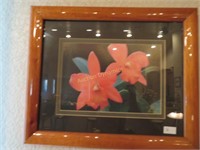 Two, Framed Floral Pictures, Approx. 9" x 12"