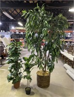 (A) 3 Faux Plants Tallest 96” Shortest 45”