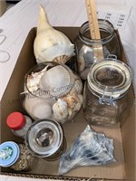 Box of glass canisters, seashells and more