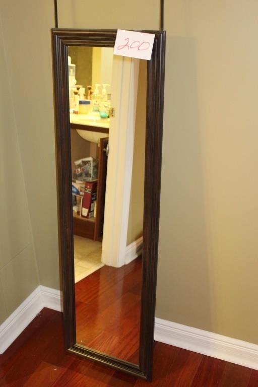 DOOR BATHROOM MIRROR 16X52