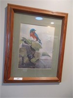 Bird picture signed