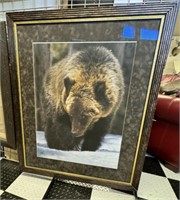 Framed Bear Photograph
