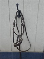 Leather Halter and Bridle