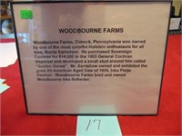 Woodbourne Farms Prominent Breeders