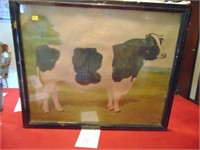 Holstein-Friesian Bull True Type Picture