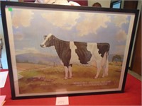 Registered Holstein-Fresian Framed Picture