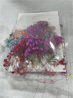 WOANGER 200 PCS 10 COLORS  DRIED PRESSED FLOWERS