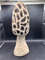 Morel Mushroom