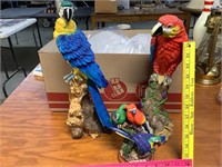 3-parrots