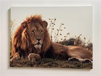 30"x40" Lion Print on Canvas