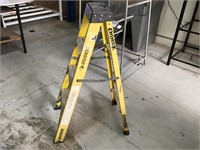 4' Husky Ladder