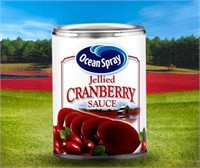 Ocean Spray Jellied Cranberry Sauce - 14oz