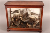 Magnificent Late Victorian Taxidermy Bird Diorama,