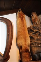 FOX PELT