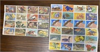 Conservation stamps collectible