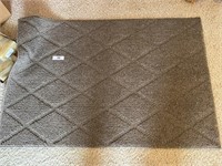 (2) Entryway Throw Rugs