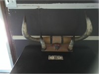 Long horns & Hoolves wall mount