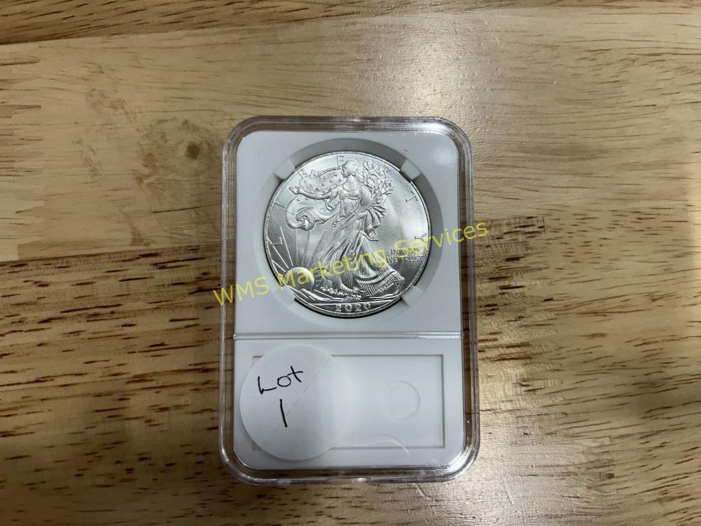 (1) 2020 Silver American Eagle Dollar