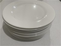 11 - 10 inches dinner plates