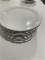 10 - 9 inch plates