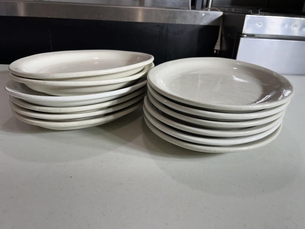 12in dinner plates 12 count