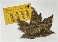 Actual Maple Leaf Brooch/Pin by Natures Way