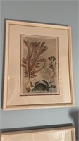 Antique Framed French Ocean Sea  motif engraving