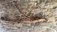 Sycamore branch sculpture, hanging in the