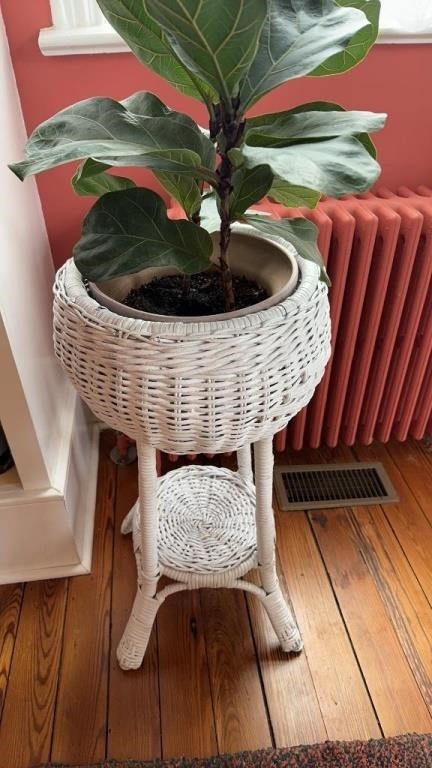 White wicker plant stand, with a shelf below,