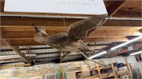 Hanging carved wood, flying bird, with a nice