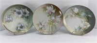 (3) R S GERMANY HAND PAINTED PLATES