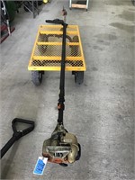 STIHL HT131. POLE SAW