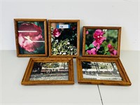 Framed Botanical Style Photos