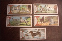 5-1902 Berliner Morgenpost Cards (Dogs)