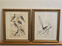 2 Bird Prints  16 x 13