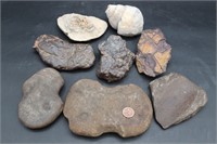 8 Pcs. Stone Ax Heads, Fossil Gastropod Steinkern+