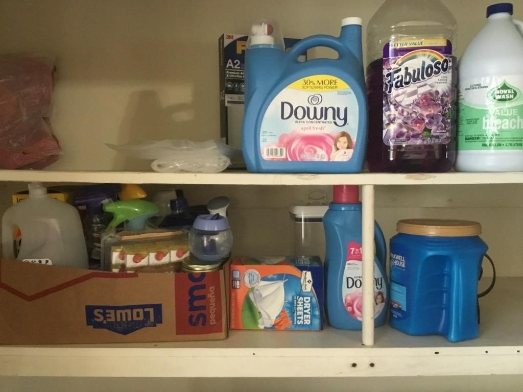 All cleaning supplies