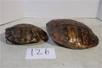 LOUISIANA TURTLE SHELLS. 9 AND 12 INCH
