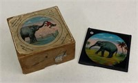 Superior Glass Slide Set #32 Elephants Revenge