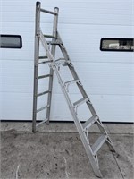 Aluminum step/extension ladder