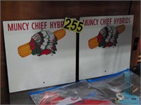 (2) Muncy Chief Hybrids, Board 12x12