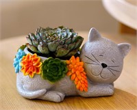 Cat Succulent Flower Plant Pots: Cute Planters