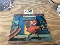 Cindi Lauper she’s so unusual LP records