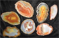 Collection of 7 Colorful Brazilian Agate Polished