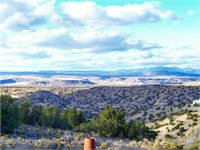 Invest in Growth in Valencia County, New Mexico!