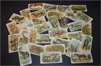 Millbank Cigarette Cards Over 25 Animal Series