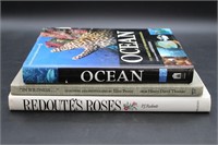 Roudeté's Roses, In Wildness, Ocean Books
