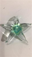 Starfish Glass Paperweight U15A