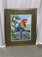 Framed Print "Scarlet Macaws" by Dallas John