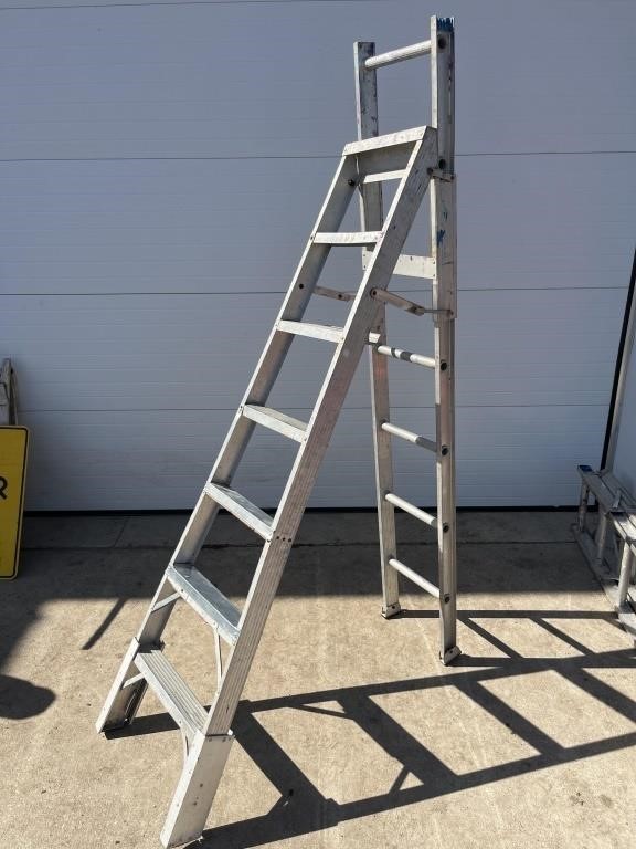 Step/extension ladder